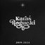 KARAŚ/ROGUCKI 2019-2024