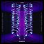 Wormholes Part.2