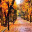 Autumn Hymns