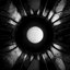 Noctis Aeterna