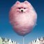 CANDYFLOSS