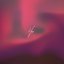 You - Single