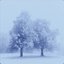 Winter Solace II