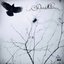Dark Nature
