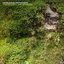 The Secret Life of Moss