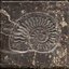 Metamorphism