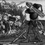Pestpogrom