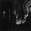 Ash Borer/Fell Voices