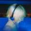 0.5 (slowed)