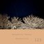 Marginalia #123 - Single
