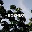 Borneo