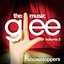 Glee: The Music, Volume 3