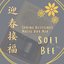 Spring Blessings 迎春接福 (Music Box Mix)