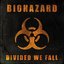 Divided We Fall [Explicit]