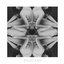 BASECAMP EP