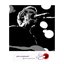 Live (2008-02-03, byte.fm Radiomitschnitt)