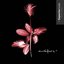 MODEified 7 - Policy of Truth