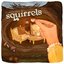 Squirrels
