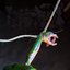 The Dark Side of the Amazon