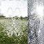 Reside - Single