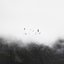 Dreamlike
