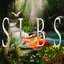 S.L.B.S. [Explicit]