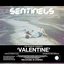 Shimmer / Valentine