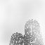 Yankee Hotel Foxtrot (Super Deluxe)