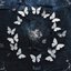 The Butterfly Effect