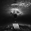 Quietus - Single