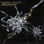 Kill Your Own (CD 2)