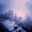 Snow Party