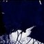 Rats In The Thorax