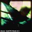HarshsTRU-Mentals vol. 6