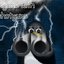 penguins with shotguns