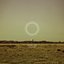 Perception