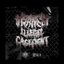 Insanely Illegal Cage Fight - Single