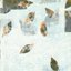 Shack Up - Single