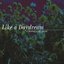 Like A Daydream - A Shoegazing Guide