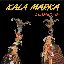 Llamerada