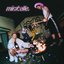 Losers - Single