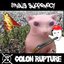 BINGUS SUPREMACY