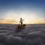 The Endless River  (Deluxe Edition)