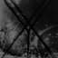 I stare into darkness