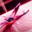 SYNCOPATiON