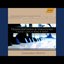 Transcriptions And Variations Of Music By J. S. Bach