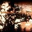 A Demonstration Of The Seasons