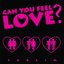 Can You Feel Love