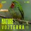 Forest Bird Songs - Colombia