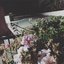 4U - Single